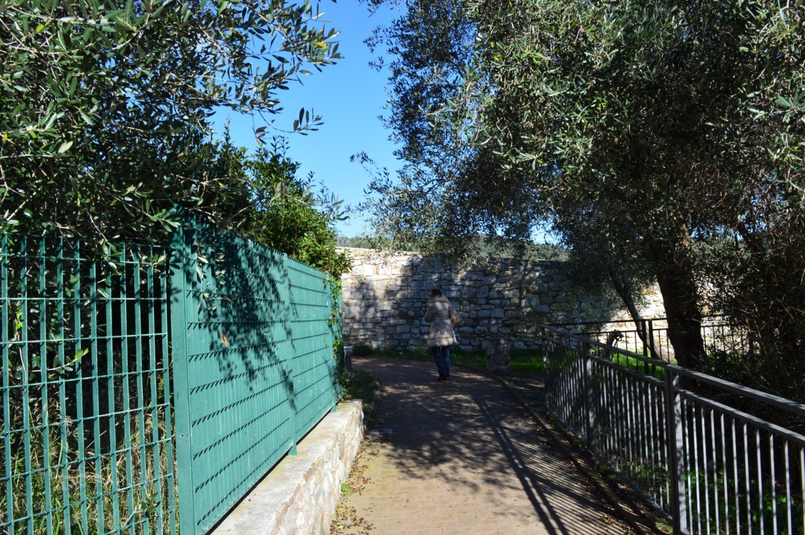 ROCCA 5